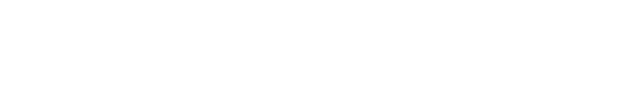 Bizmo Technologies